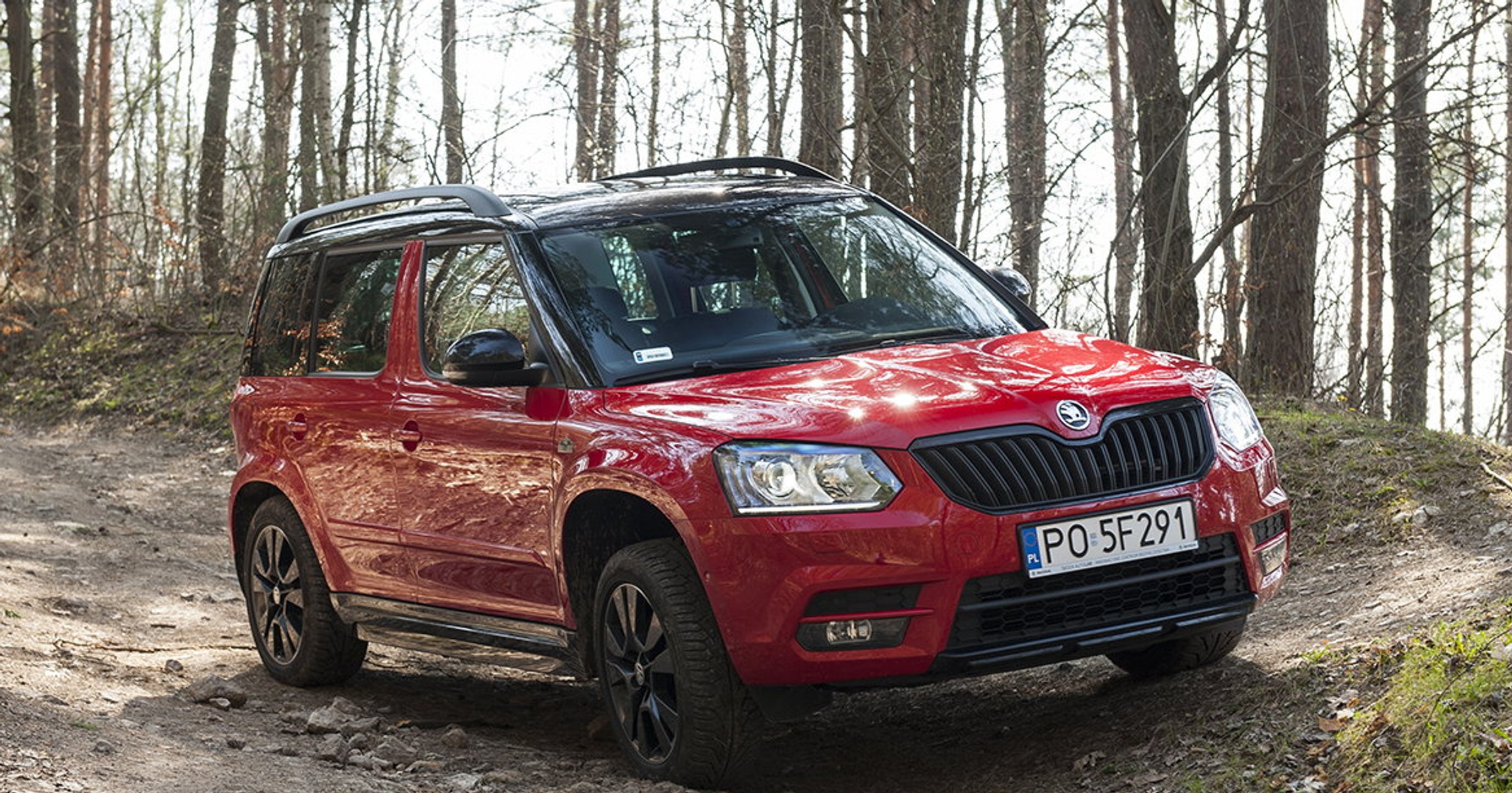 Skoda_downhill_08
