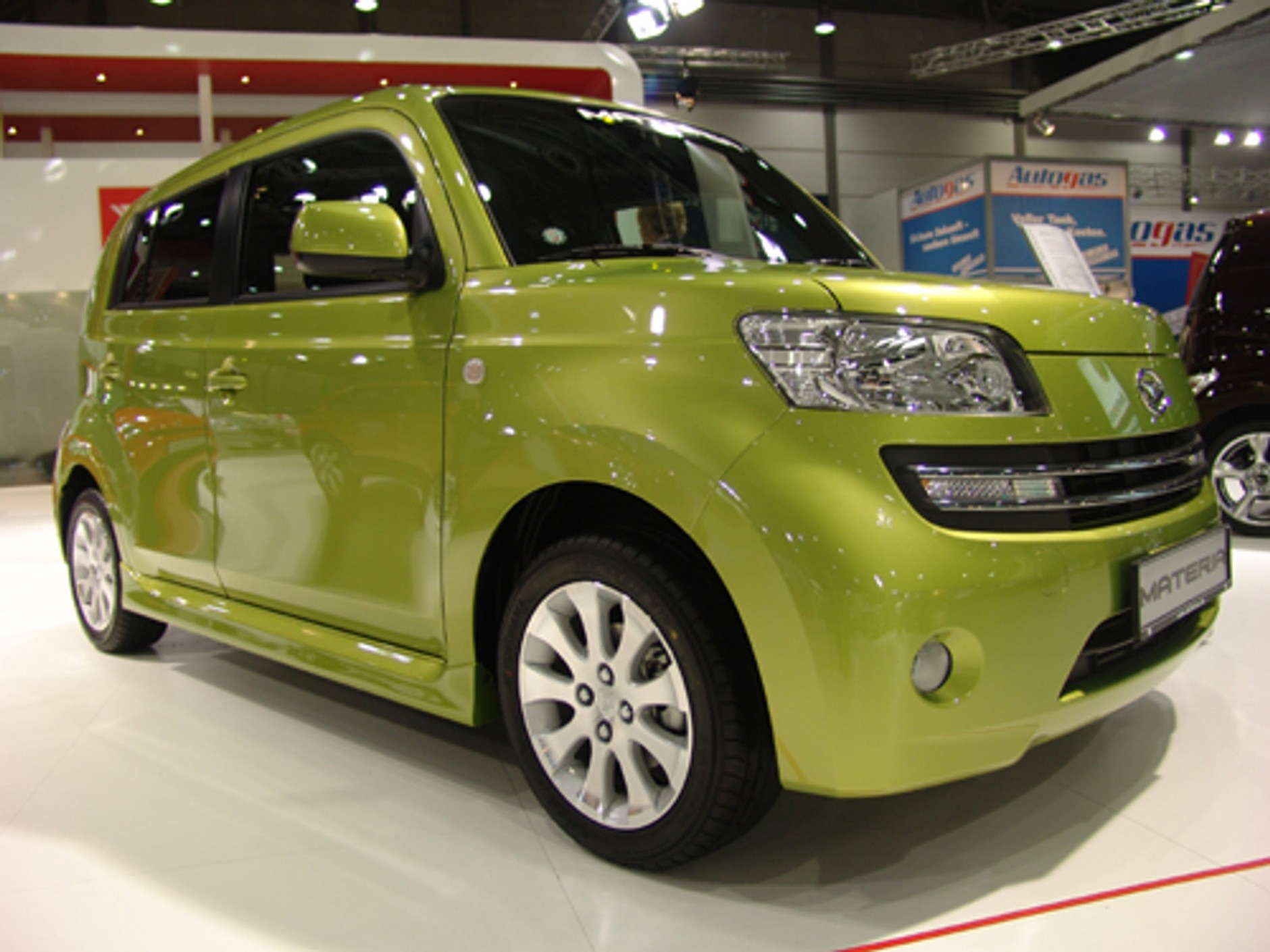 Leopard wśród gwiazd AMI