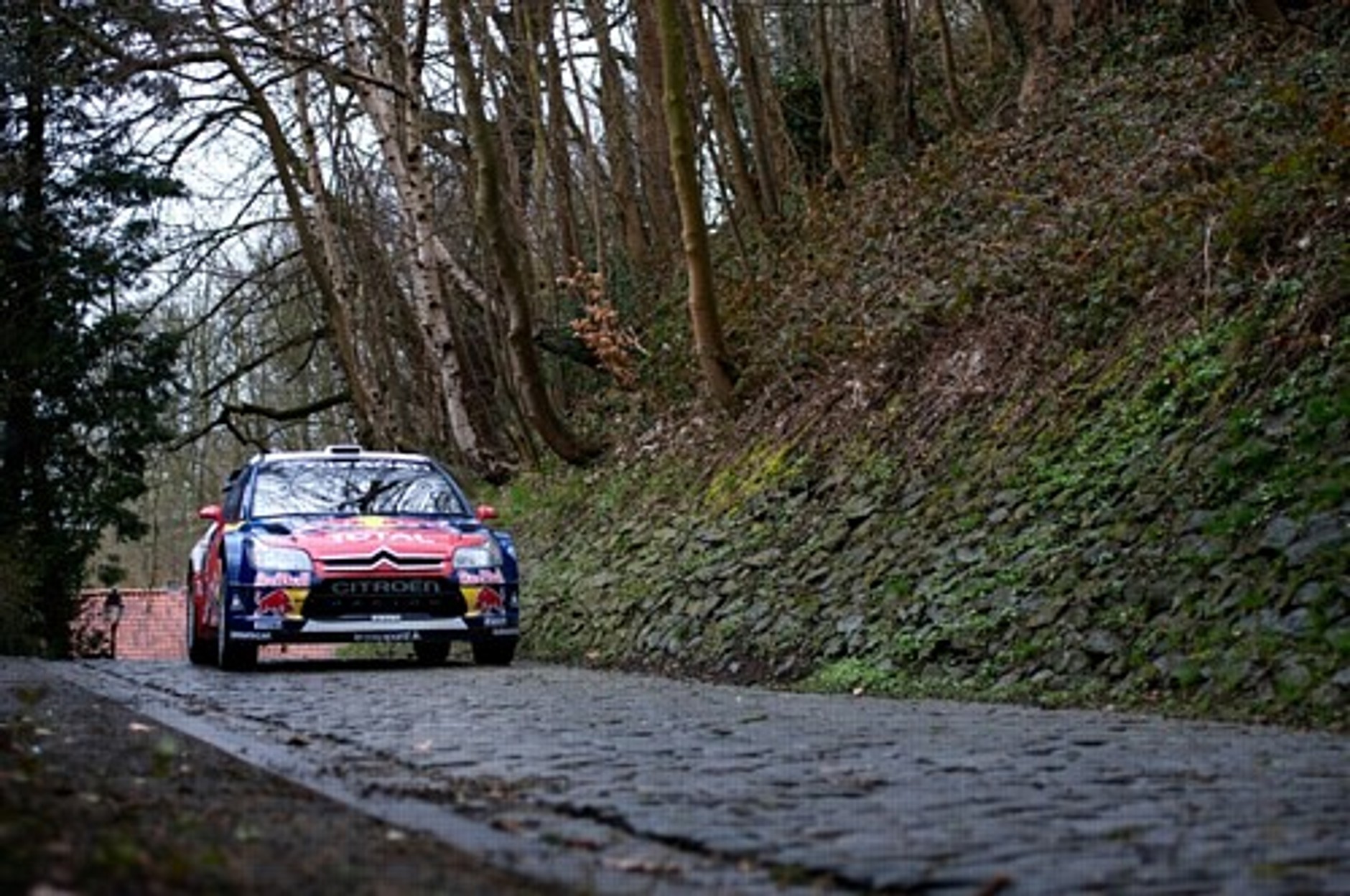 Sebastien Loeb pokonany przez Stefana Evertsa