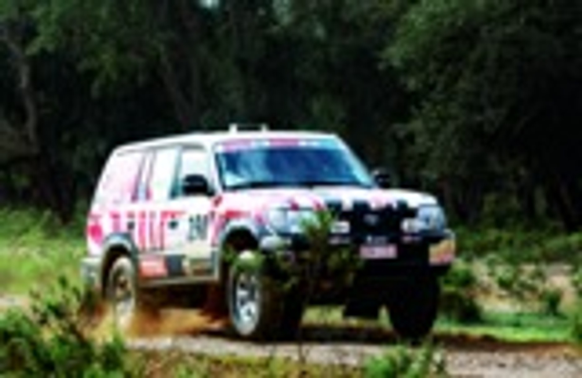 Zawodowcy i amatorzy