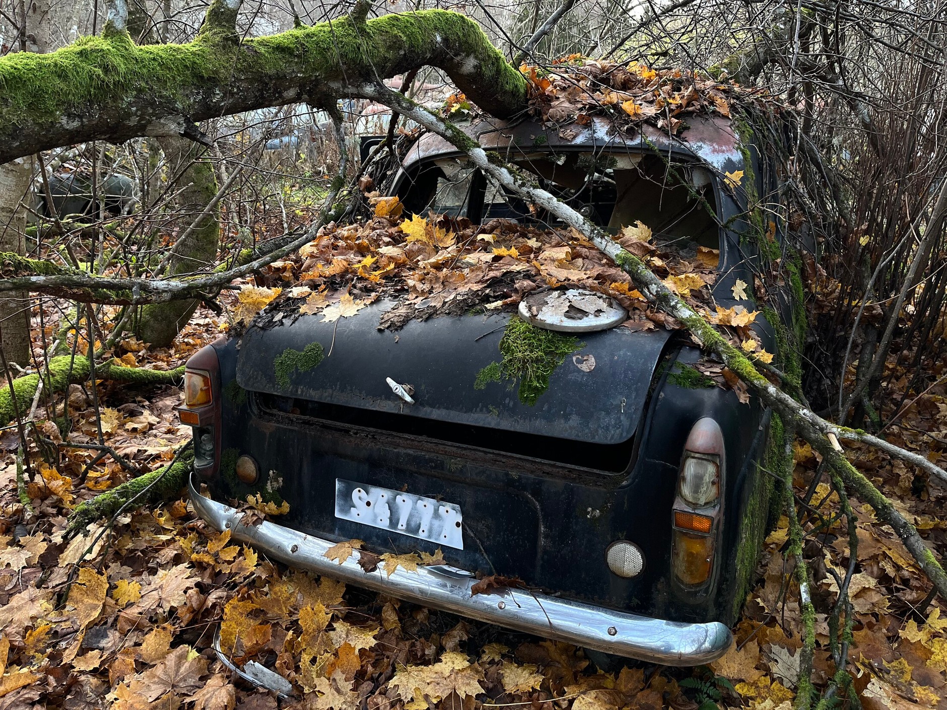 Cmentarzysko samochodów w Bastnas w Szwecji