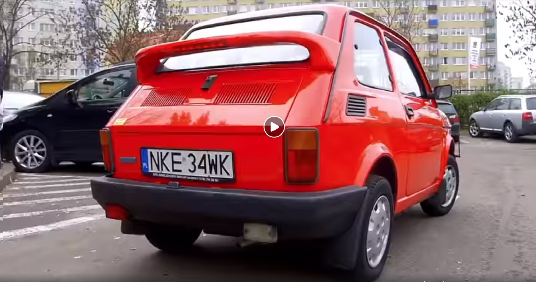 Maluch wystawiony na aukcję charytatywną wspieraną przez Krzysztoga Hołowczyca