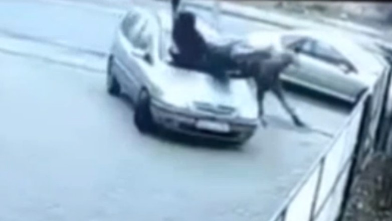 Kierowca w Siedlcach nie przemyślał swojego manewru