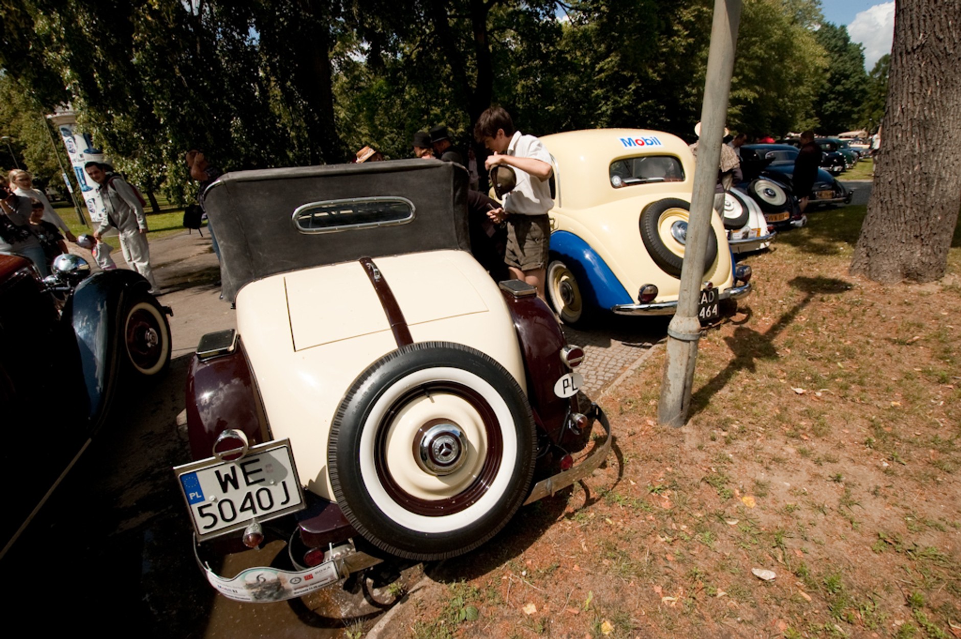 Klasyczne Mercedesy w Wilanowie