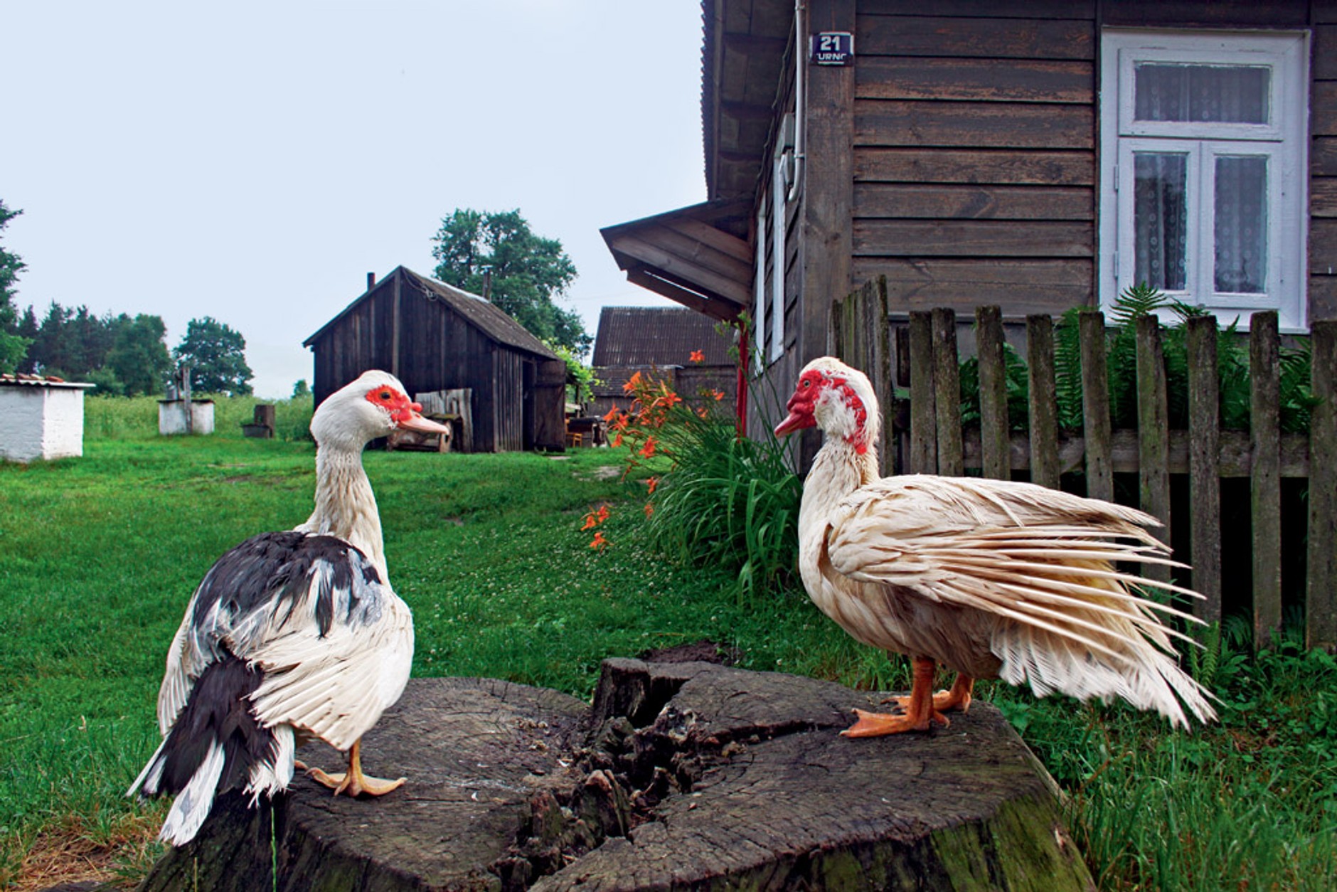 Pojezierze Łęczyńsko-Włodawskie: poznaj uroki Polesia