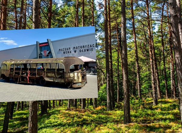 Sensacyjne odkrycie w lesie. Polski autobus Bałtyk odnaleziony po prawie 60 latach