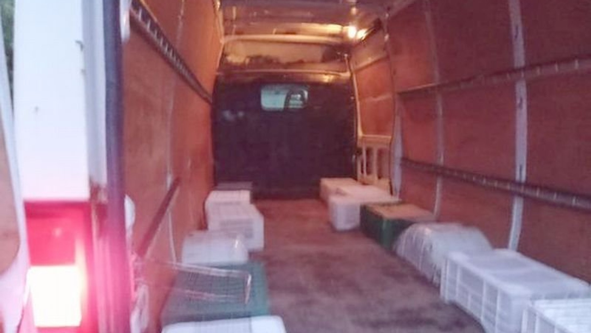 To miała być rutynowa kontrola. Odkryto w przedziale ładunkowym 29 osób