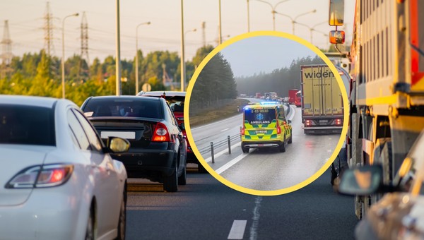 Polak pokazał kadr z drogi w Szwecji. "20 lat za kierownicą i pierwszy raz spotykam się z sytuacją"