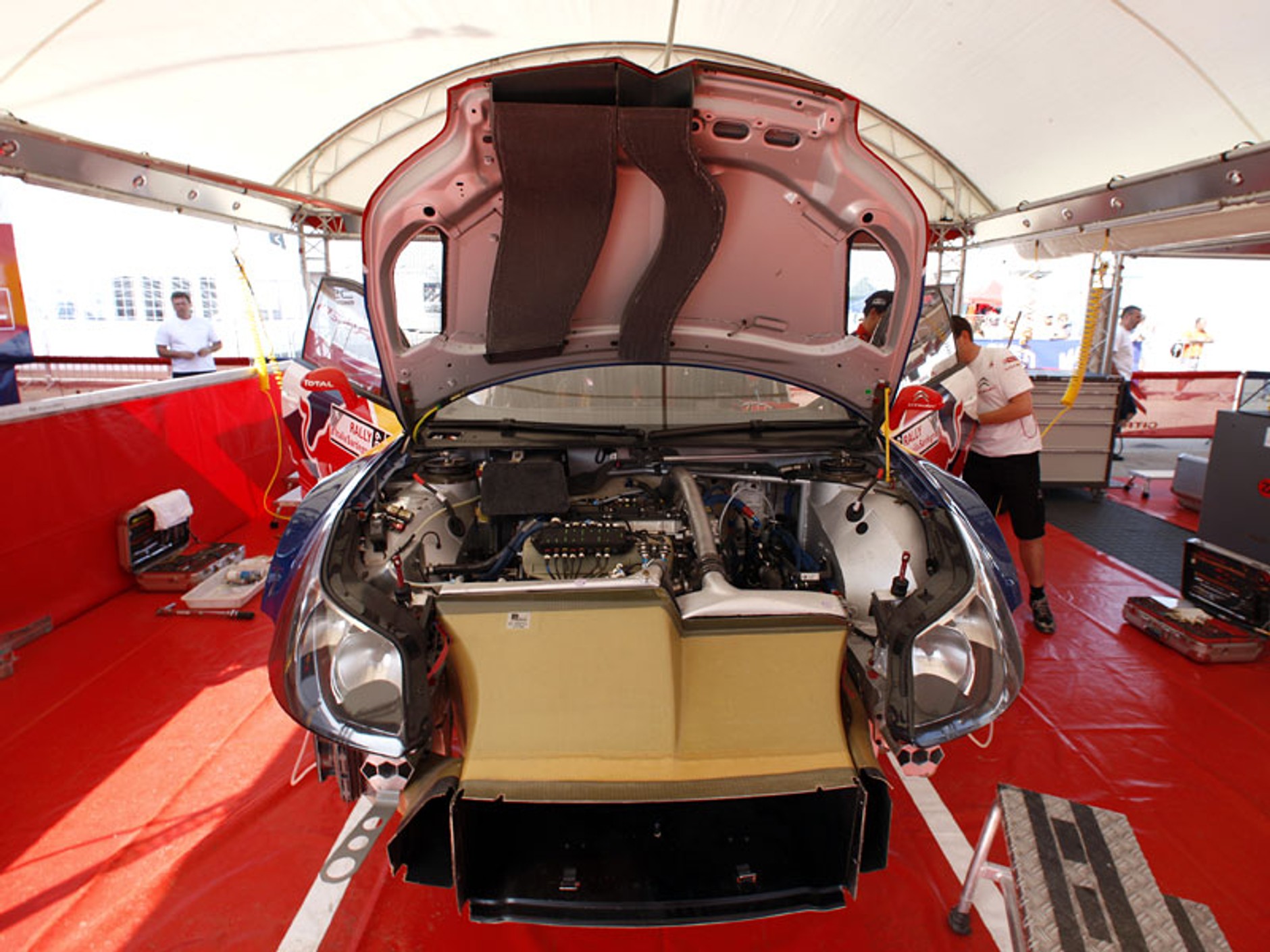 Rajd Włoch 2009: triumf Forda i przegrany Kościuszko (fotogaleria)