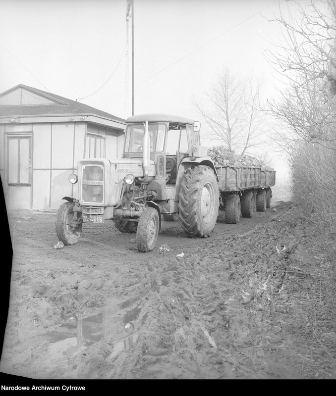 Ursus C-355d