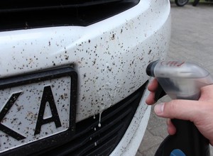 Jak z auta zmyć robale?