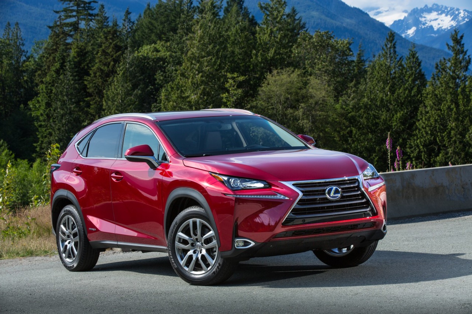 Lexus NX 300h