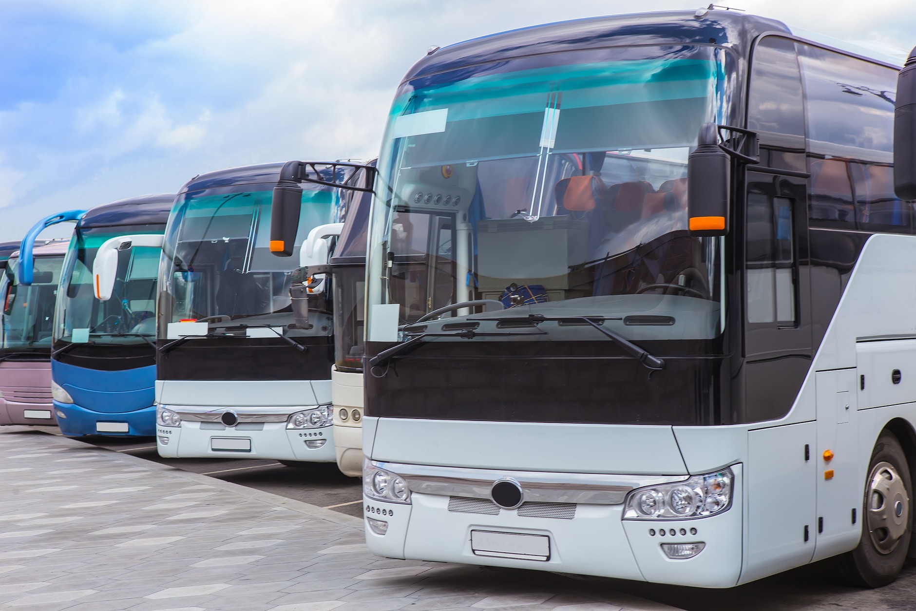 Kierowca autobusu turystycznego