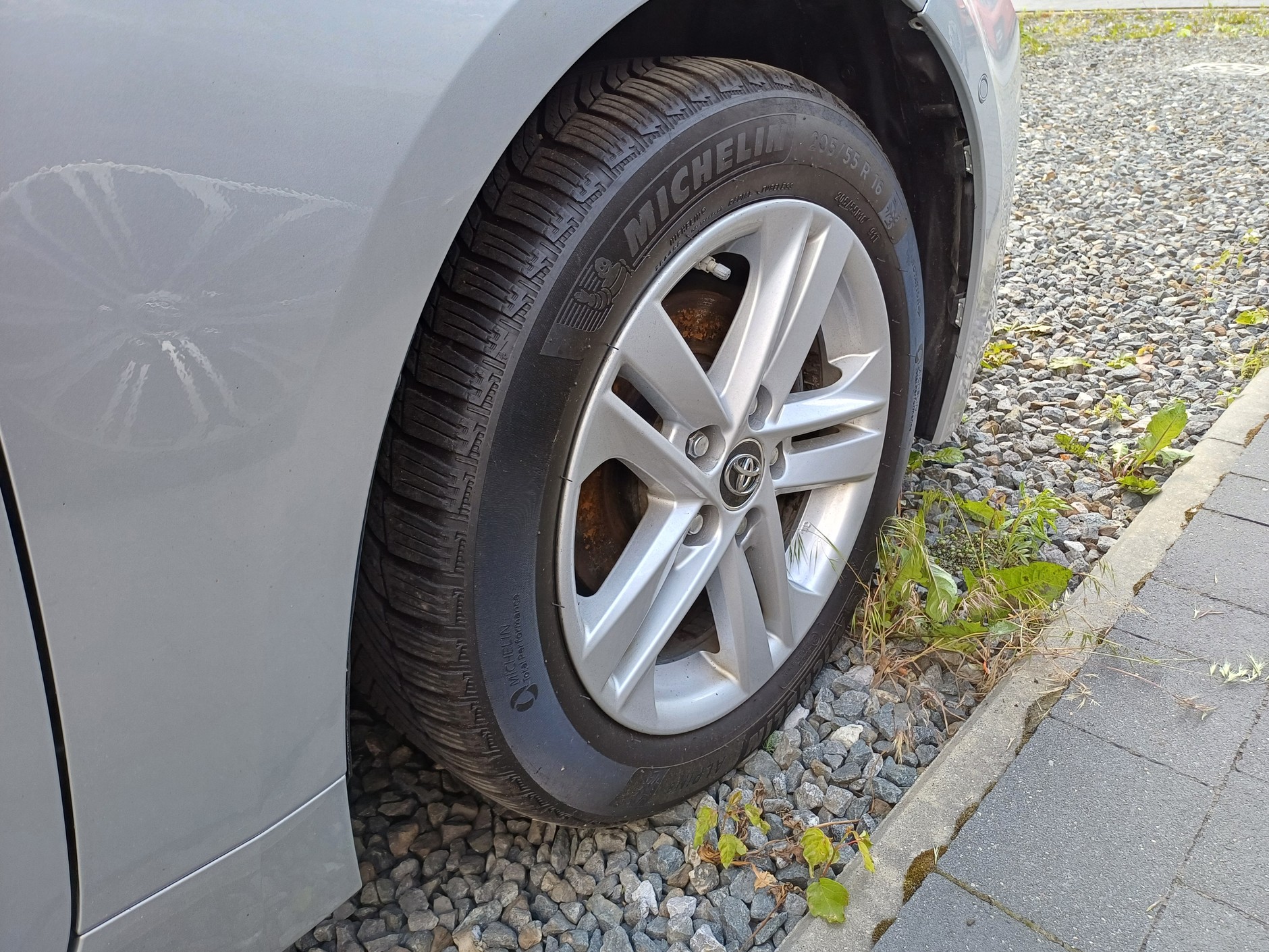 Toyota Corolla z ogłoszenia