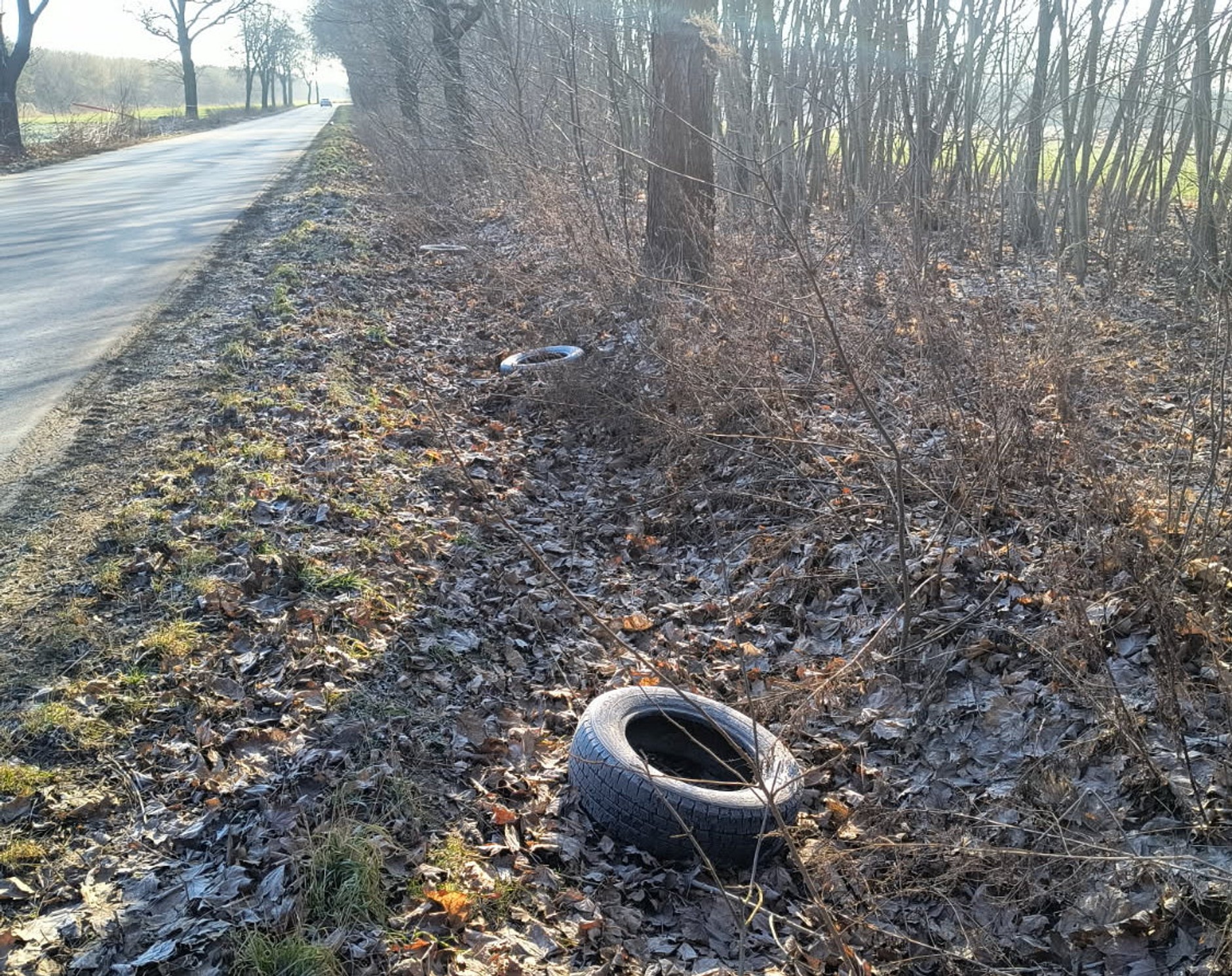 Ktoś masowo wyrzuca stare opony przy drogach