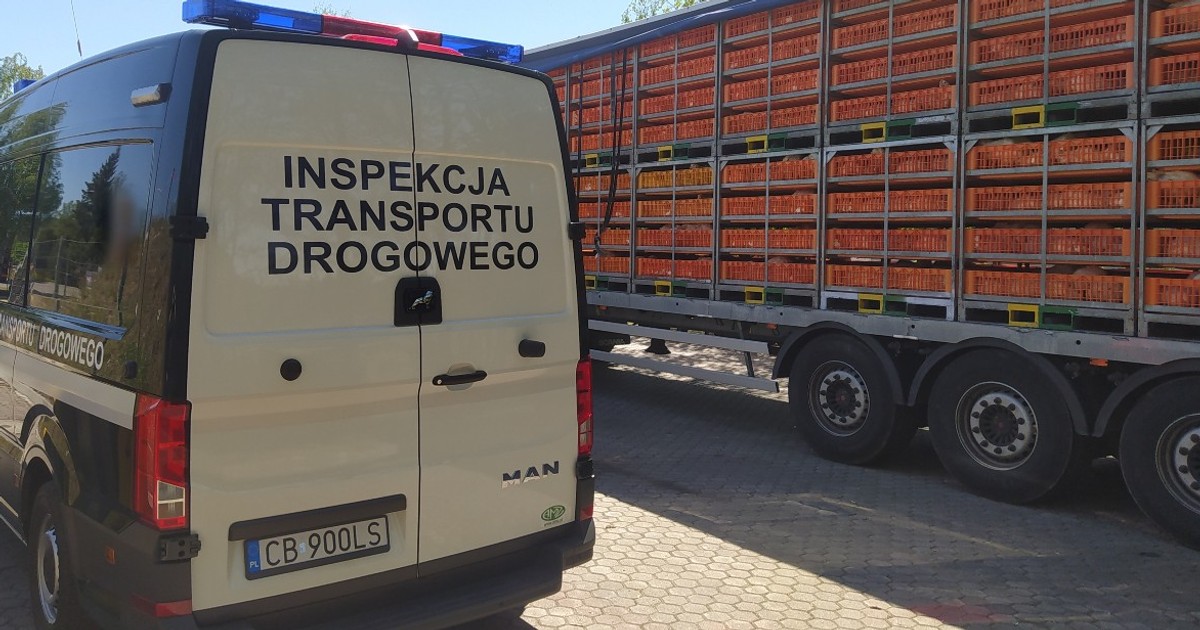 Zatrzymany zestaw ciężarówy wiozący drób