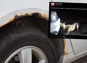 Przez kilkanaście miesięcy ktoś dziurawił im opony. Uwagę zwrócił pies