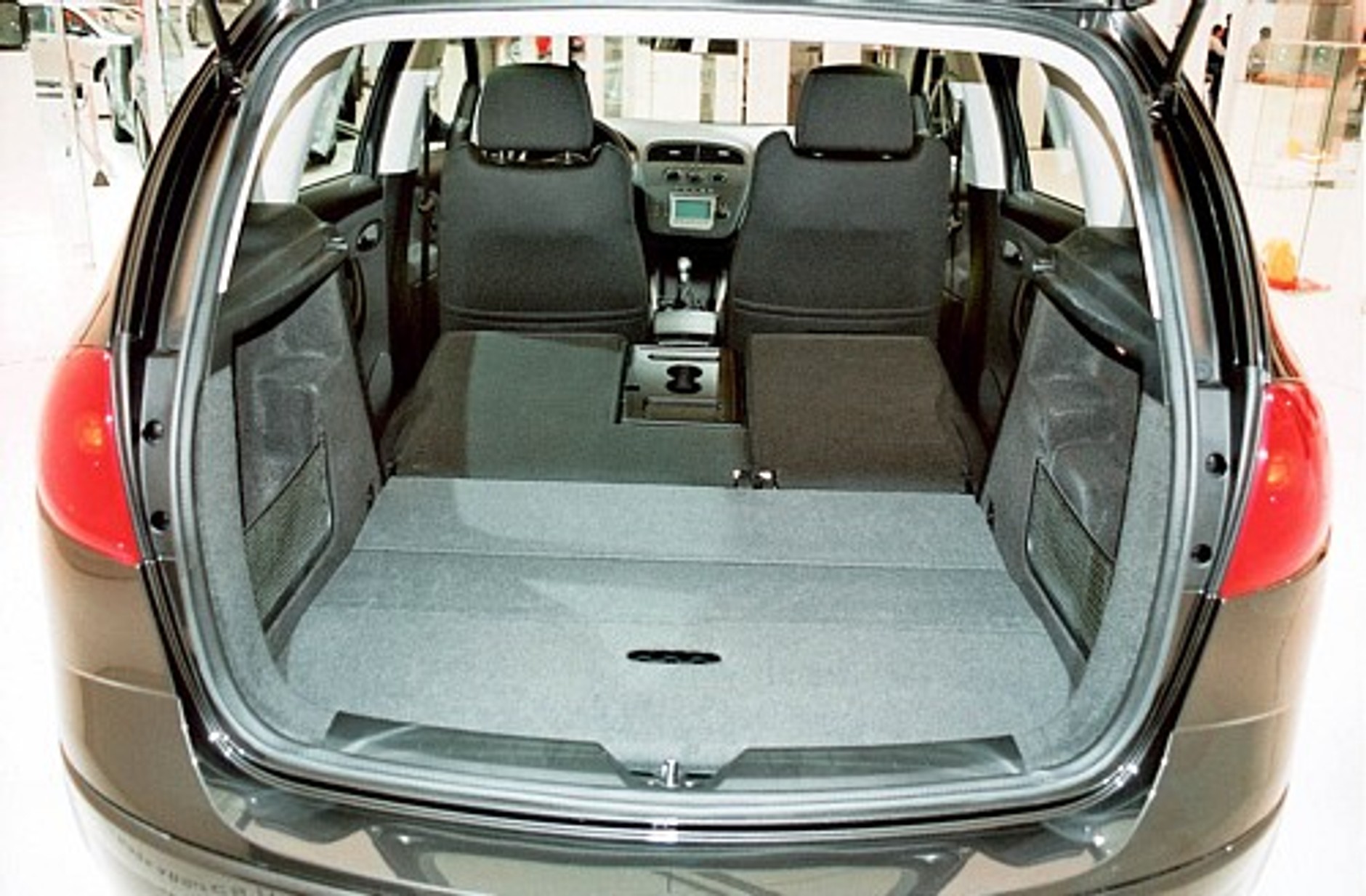 Hiszpański drapieżnik