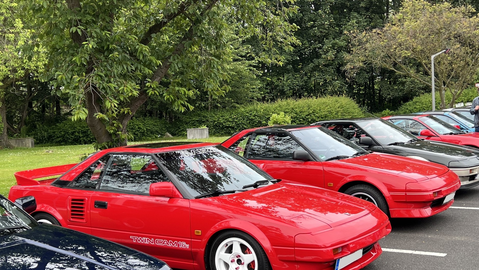 Toyota Collection