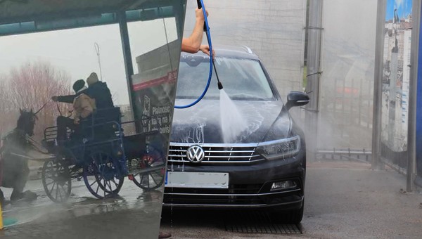 Umyli konia na myjni bezdotykowej. Policjanci zbierają materiał dowodowy