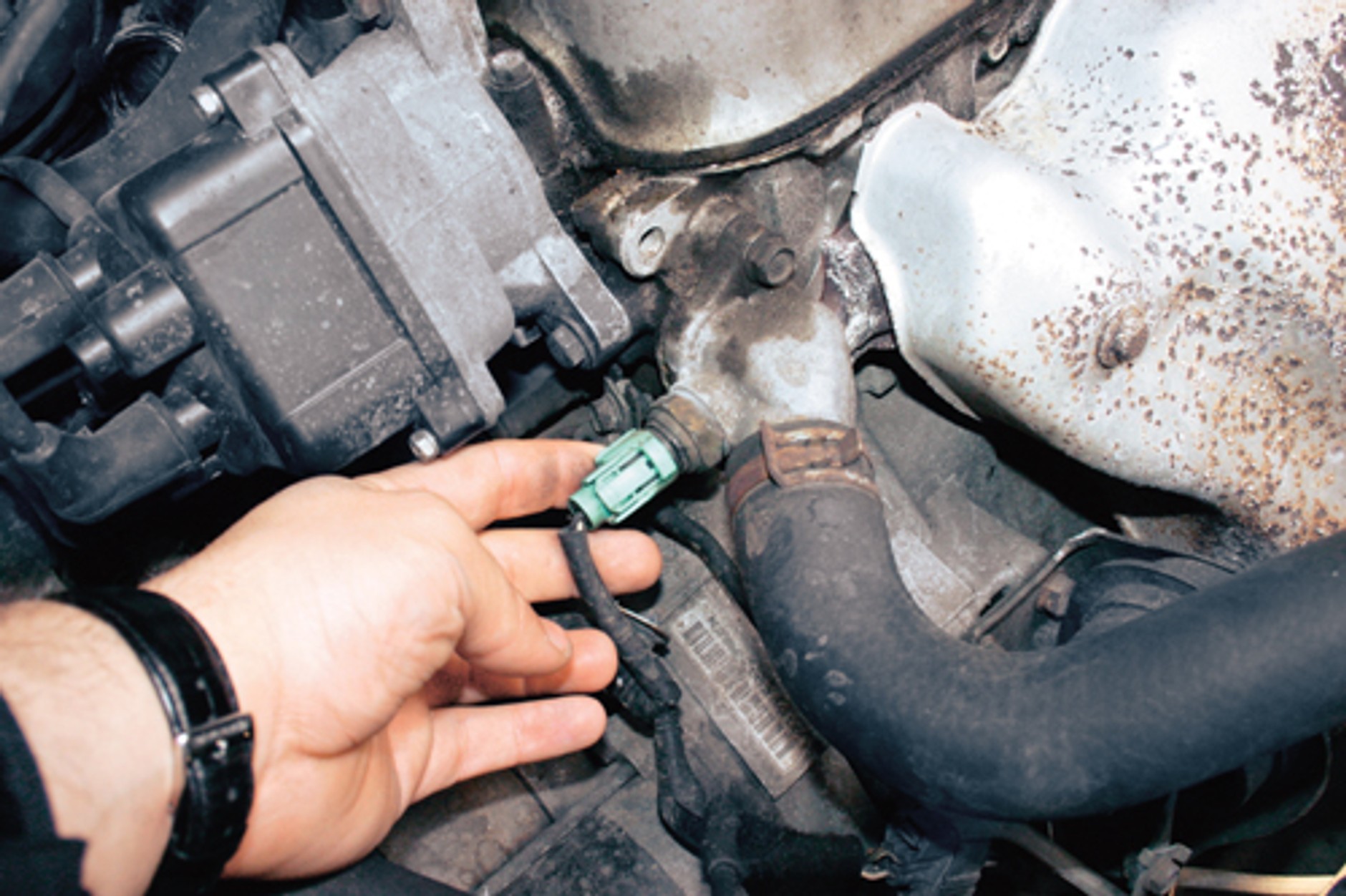 Czy to normalne, że jest zimno?