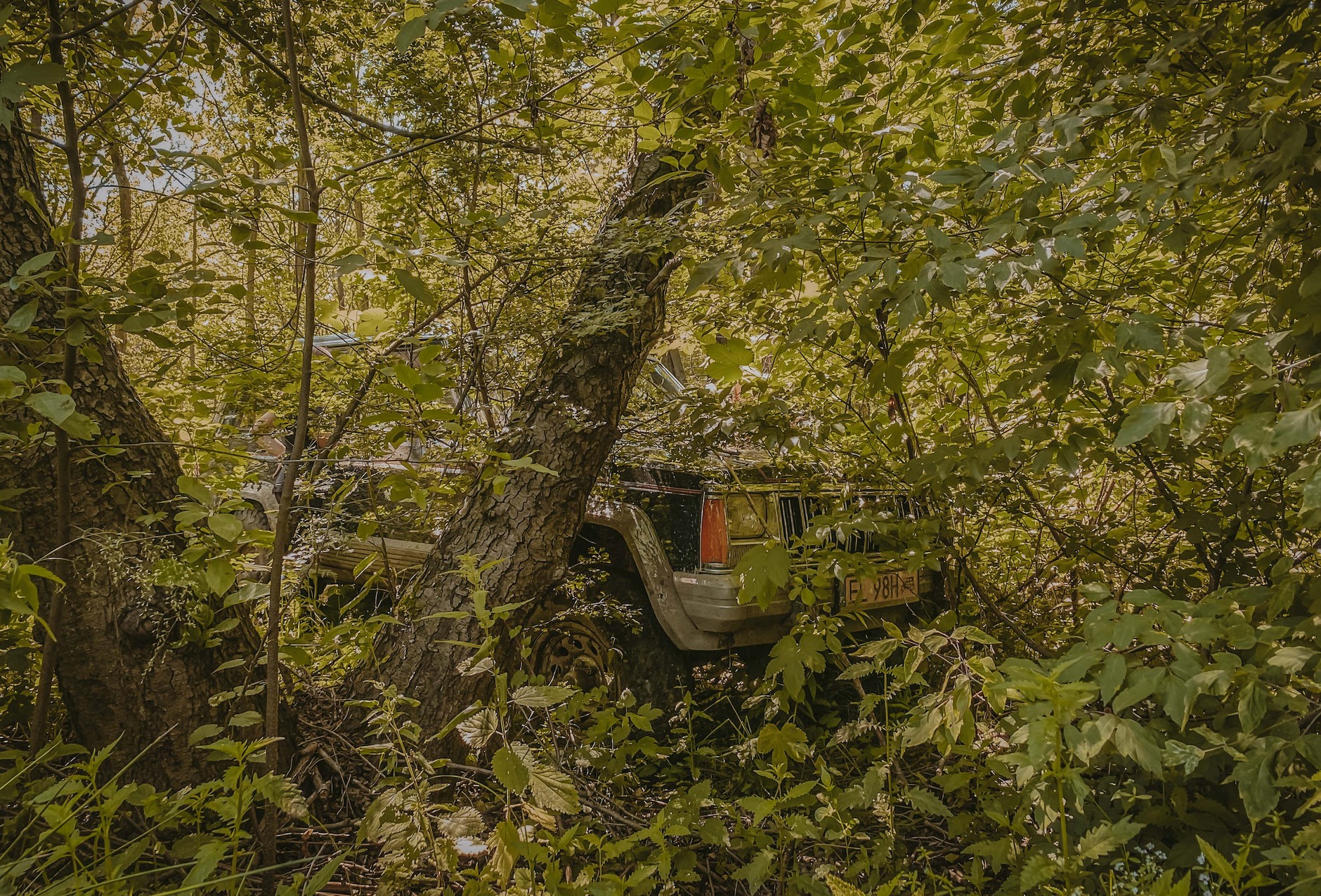 Suzuki w terenie podczas rajdu