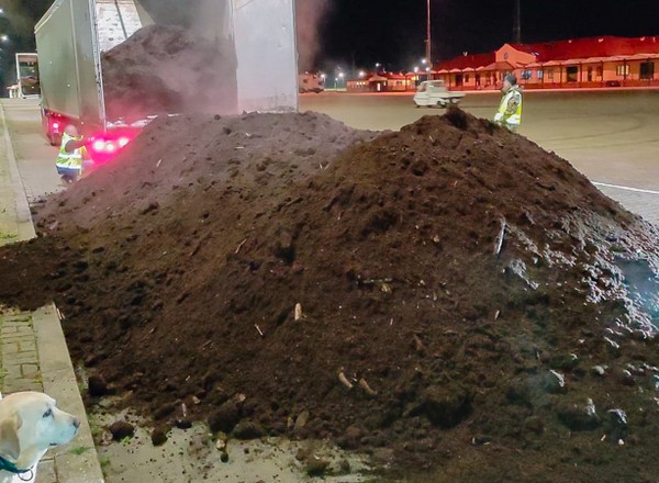 Straż Graniczna zatrzymała na S7 tira z Litwy. Trzeba było wysypać aż 22 tony ziemi