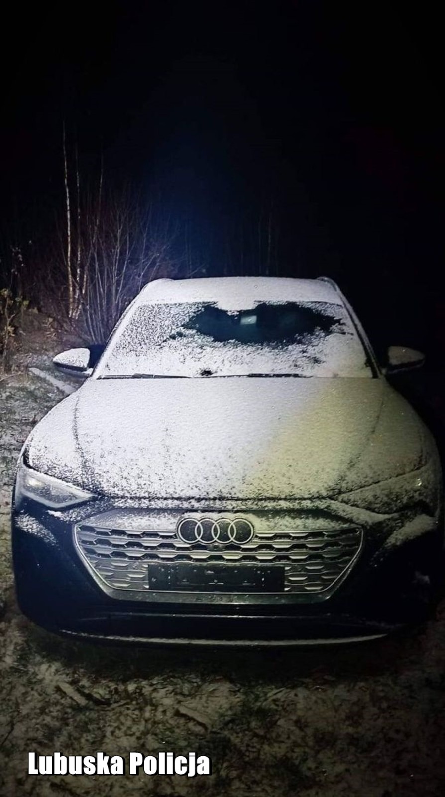 Audi Q8 e-tron znalezionie w lesie przez policję