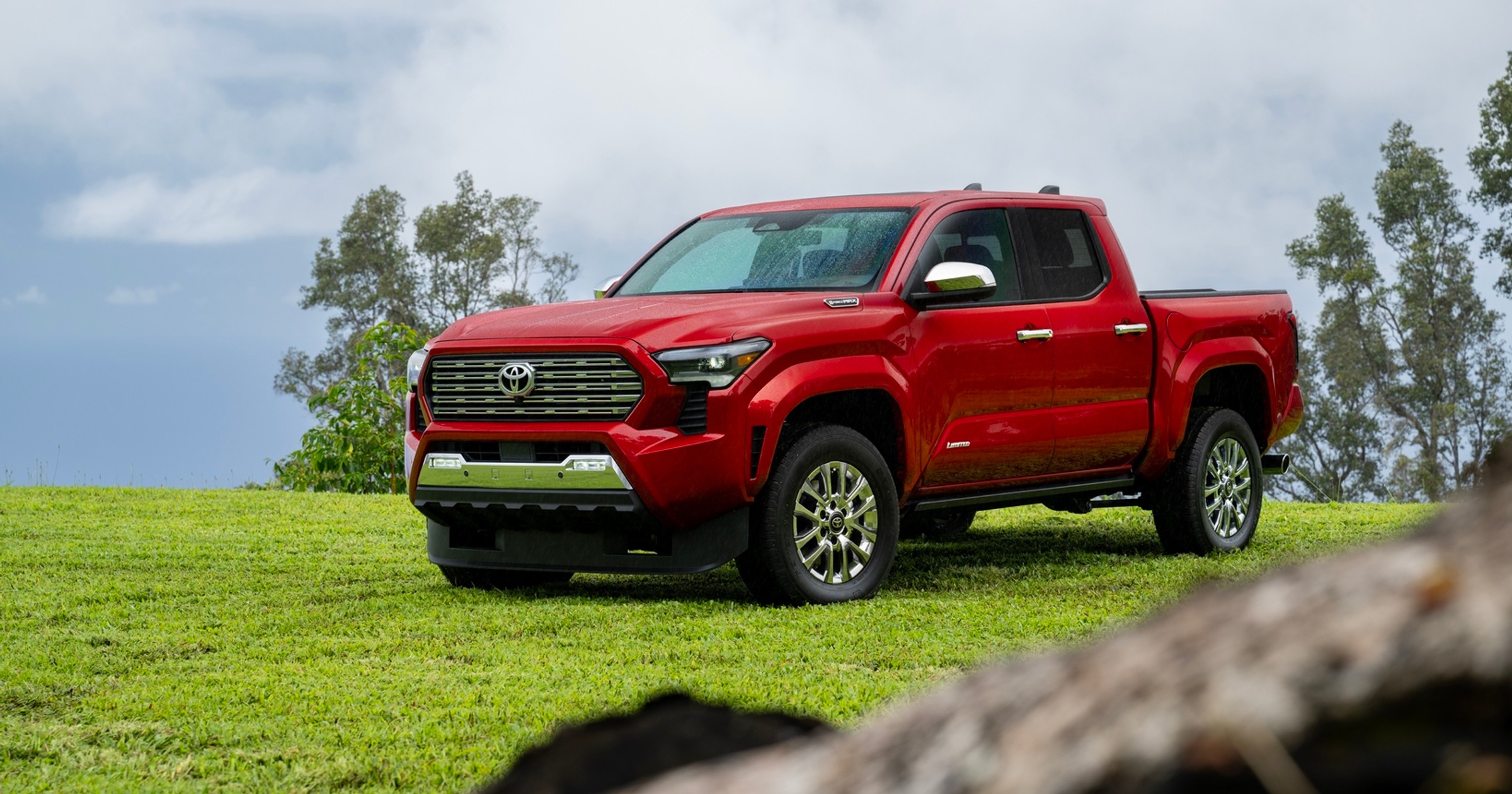 Toyota Tacoma Limited (2024)