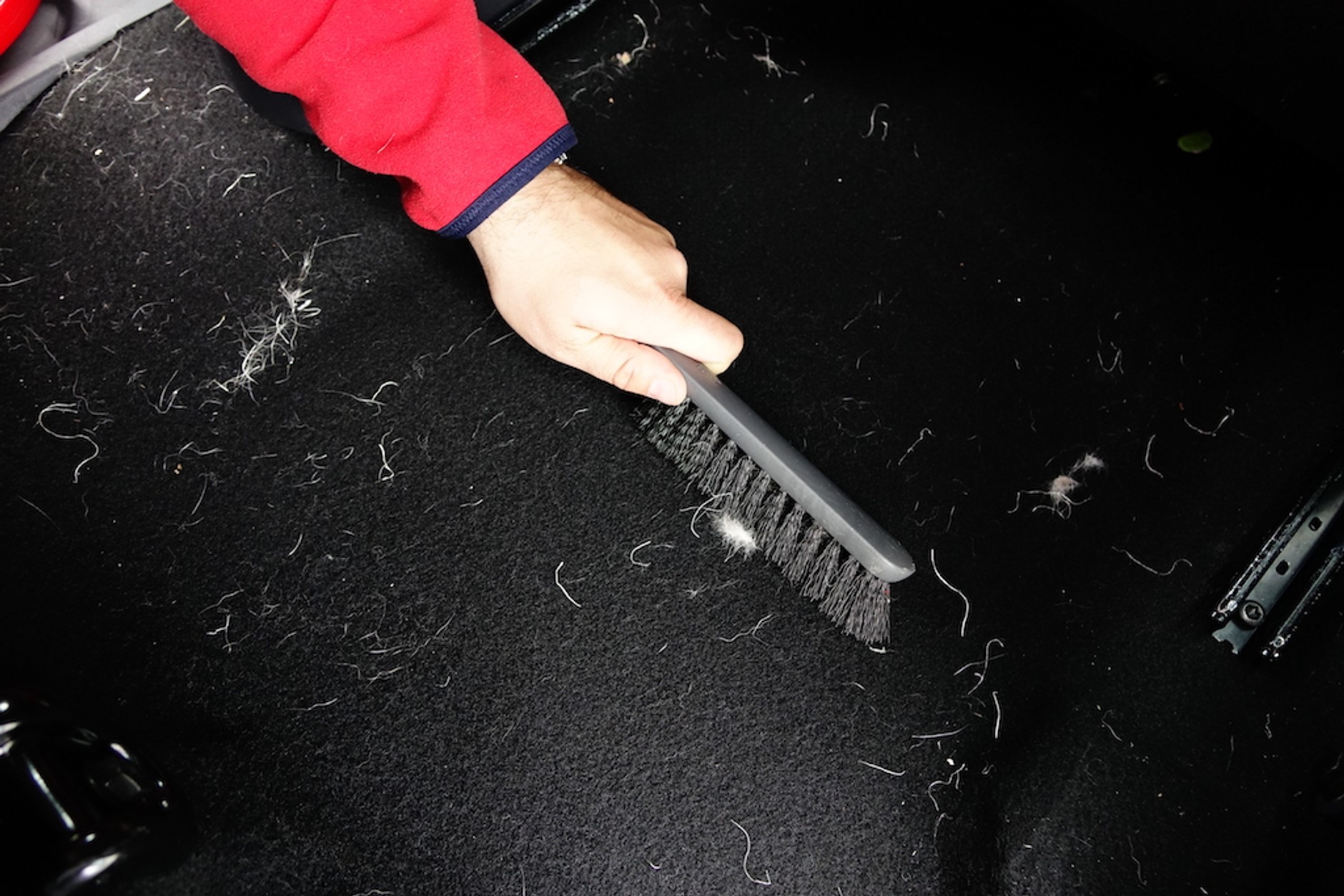 Usuwanie sierści – szczotka zwykla