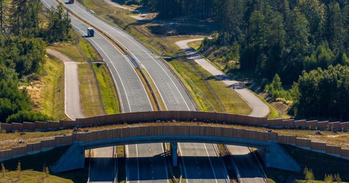  Tajemnicze konstrukcje nad polskimi drogami. Na S61 nie korzystają z nich kierowcy