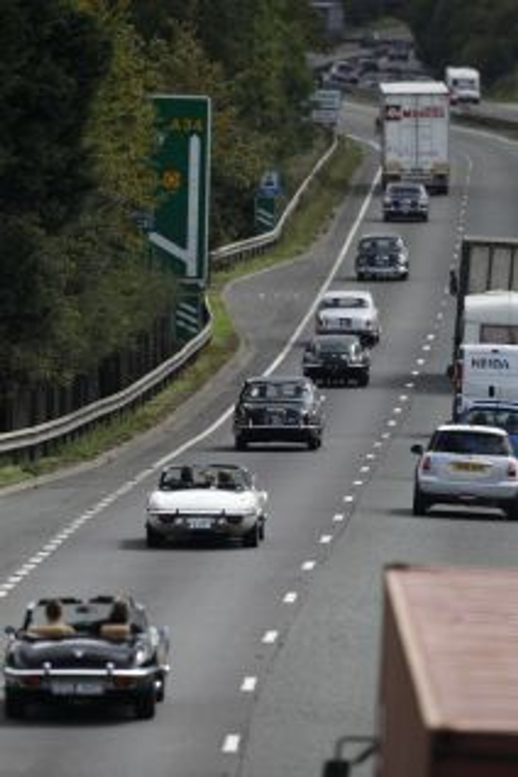 Wielka parada Jaguarów w Goodwood (galeria)