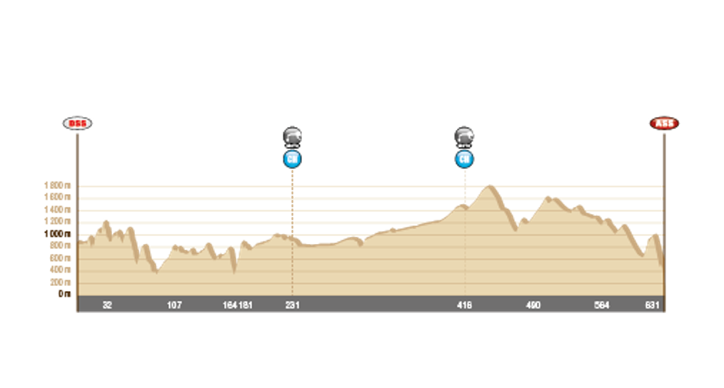 Dakar 2014: atak Mini, Przygoński walczy (9. etap, wyniki)