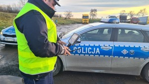 W tym miejscu kierowcy ciężarówek nagminnie łamią zakaz. Policja ich zaskoczyła [WIDEO]