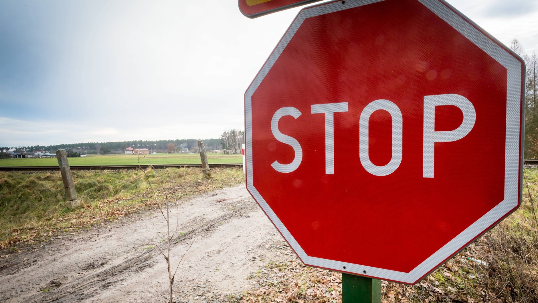 Za zignorowanie znaku STOP grozi osiem punktów karnych i 300 zł mandatu
