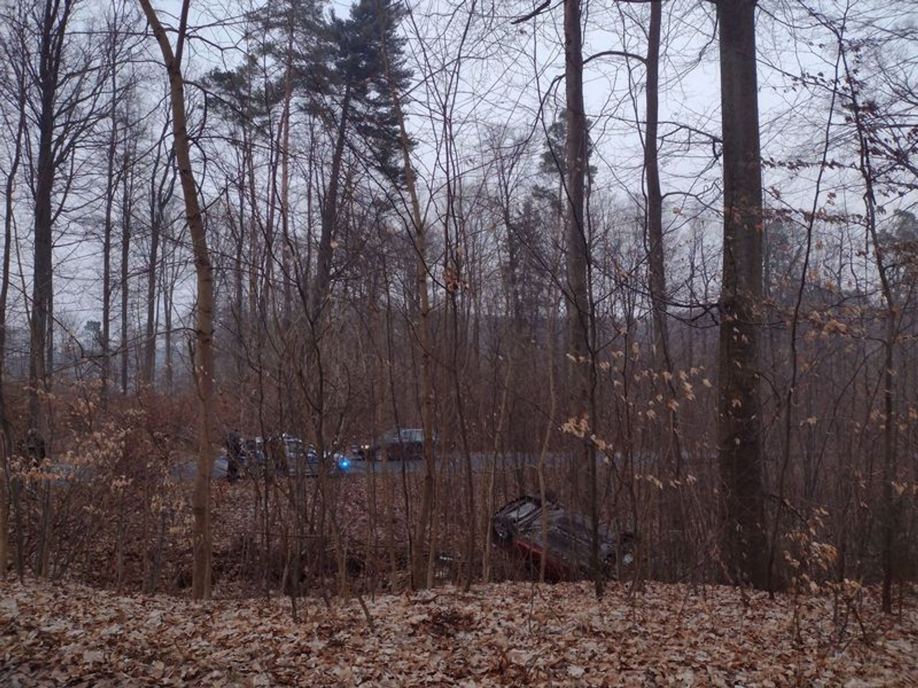 Ucieczka przed policją. Dachowanie w lesie