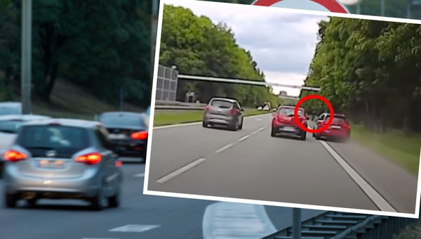 Mrożące krew w żyłach nagranie z DK81. Kierowca wyprzedzał poboczem! 