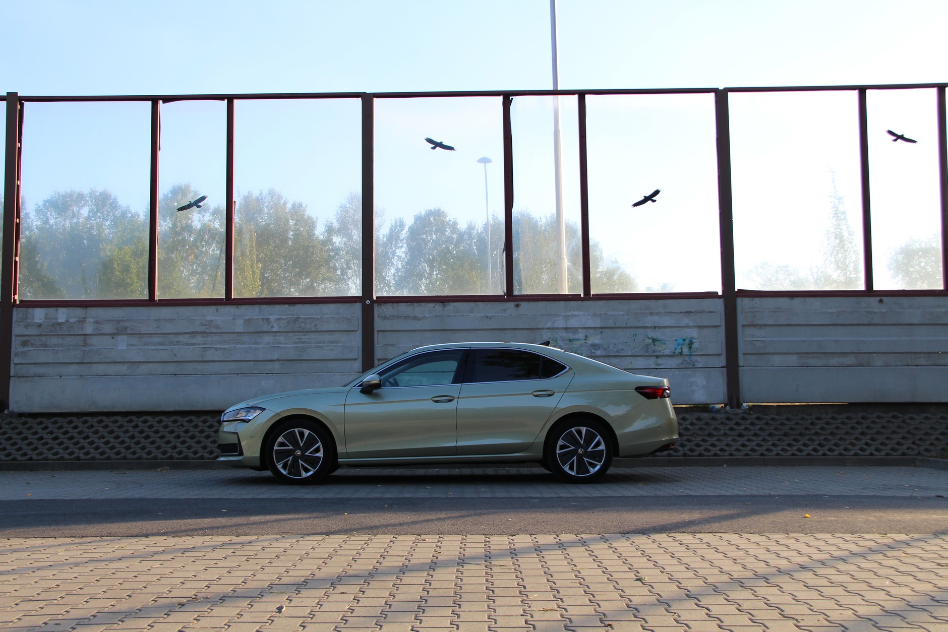 Skoda Superb 1.5 TSI m-HEV Selection