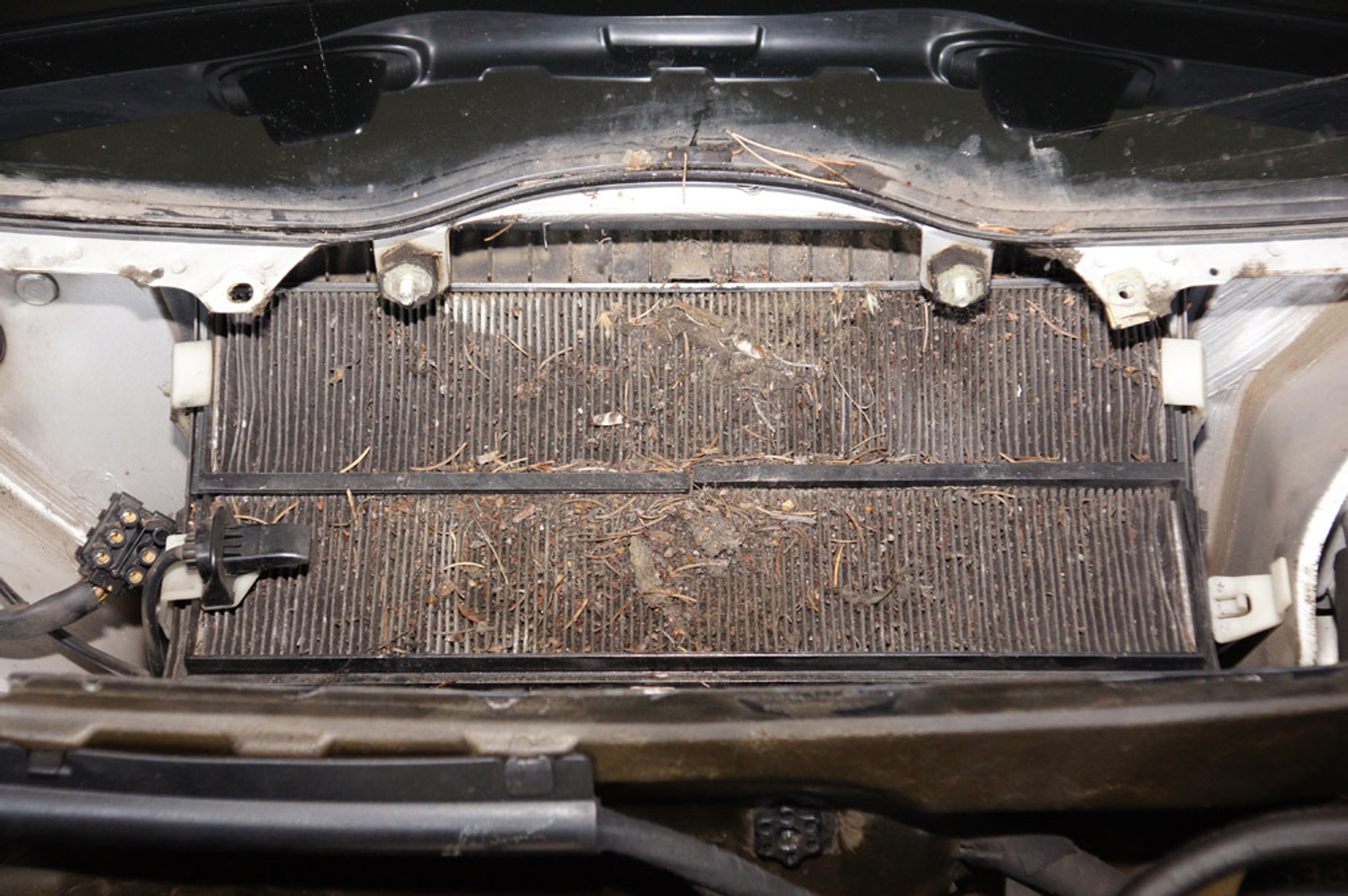 Tak kantują w warsztatach!