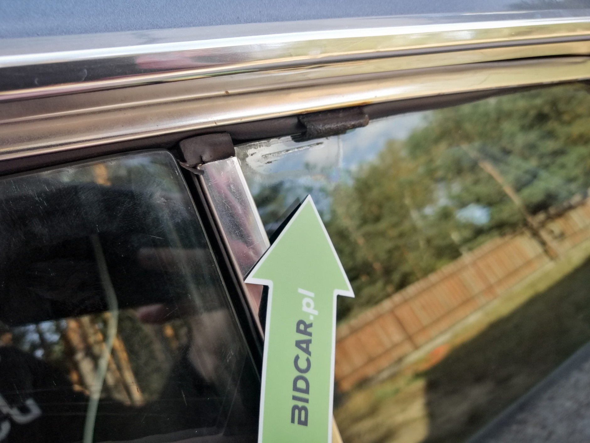 Ford Mustang Adama Klimka na sprzedaż