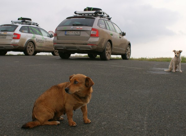 Skoda Euro Trek: Octavią Scout przez bezdroża Rumunii