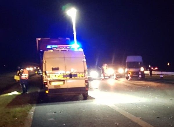 Śmiertelny wypadek z łosiem na autostradzie A1