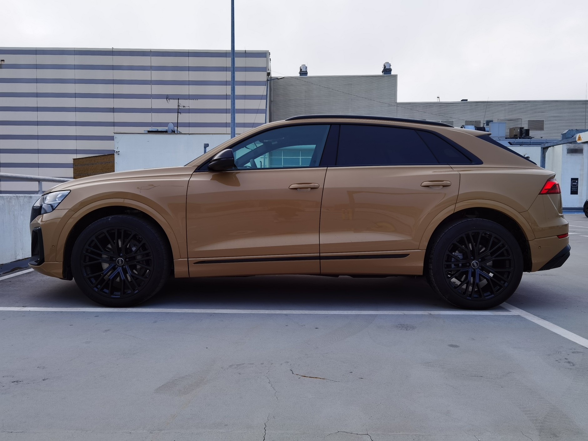 Audi Q8 50 TDI S line