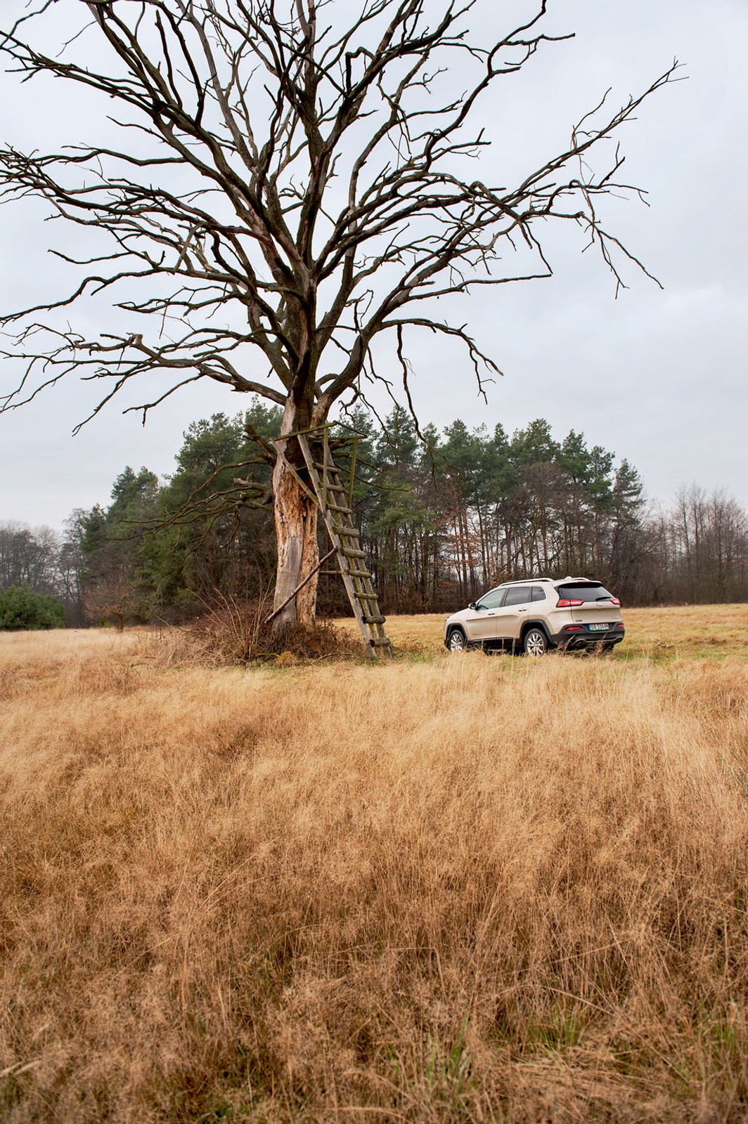 Mazowsze nieznane zza kierownicy Jeepa Cherokee