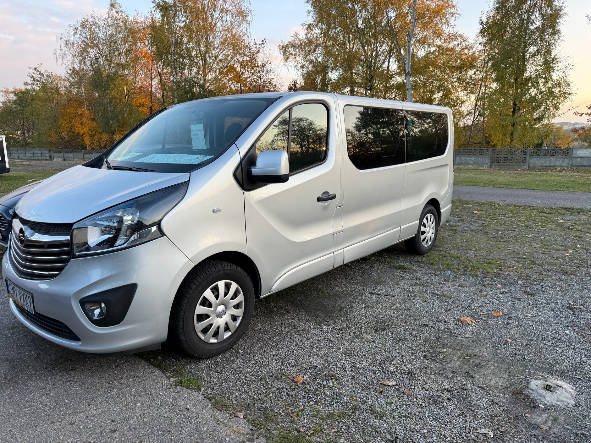 Opel Vivaro – auto z ogłoszenia