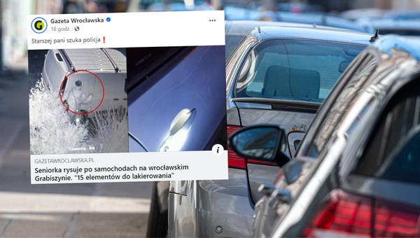 Wieczorami przemierza ulicę i niszczy zaparkowane auta. Mieszkańcy szukają staruszki
