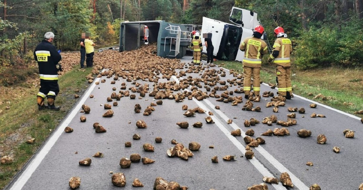  Kierowcy stali w potężnym korku przez buraki. Kuriozalna kolizja na DW849