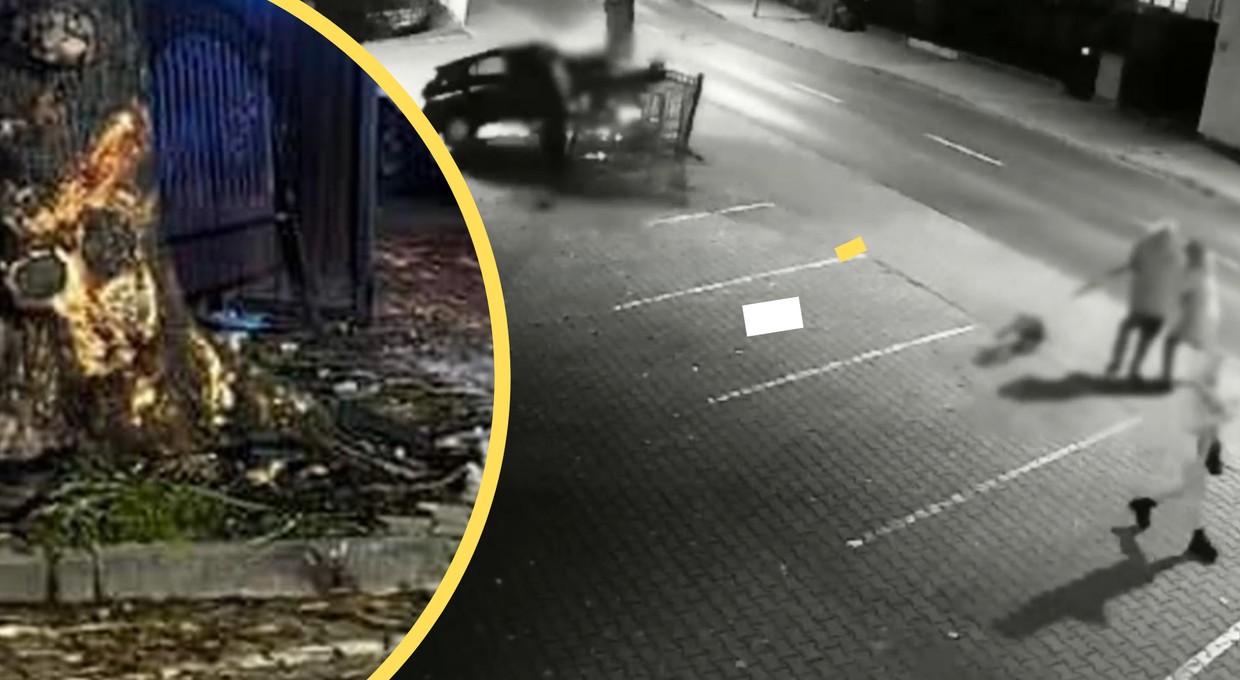 Z impetem zjechał z drogi. Pieszych uratowało potężne drzewo [WIDEO]