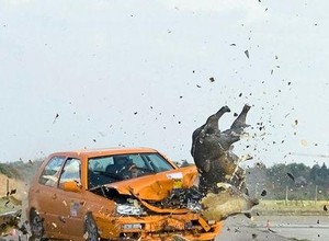 Dziki crashtest