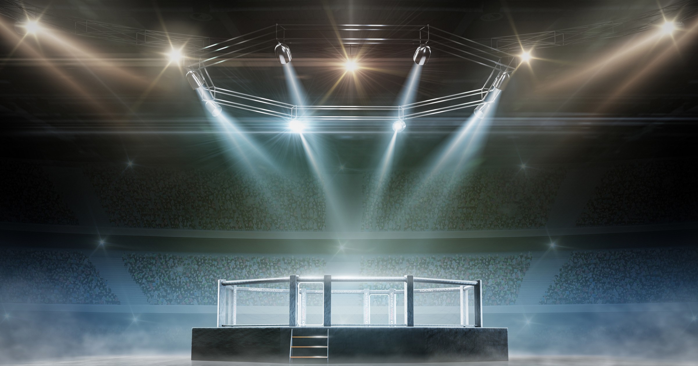 MMA oktagon